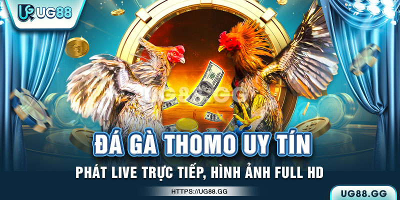 Đá gà thomo trực tiếp tại Việt Nam